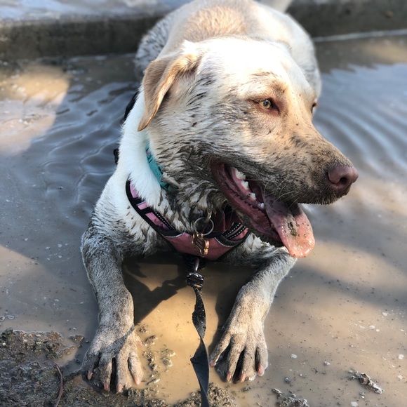 Help me I’m poor - Picture 4 of 6